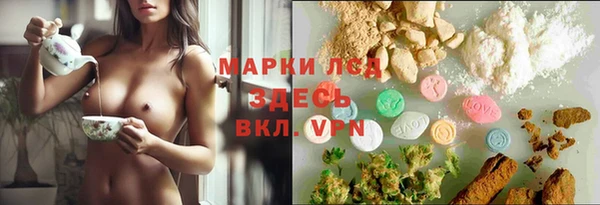 эйфоретик Майский