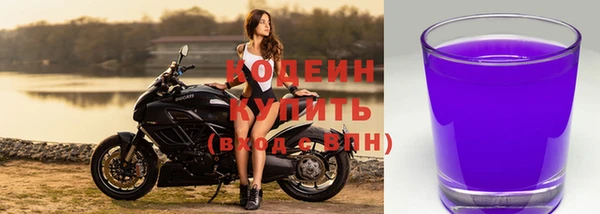 эйфоретик Майский