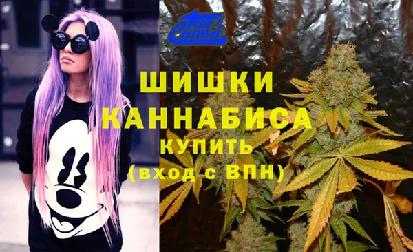 эйфоретик Майский