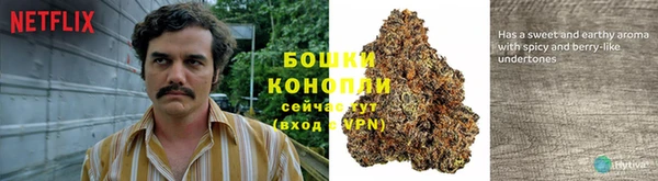 эйфоретик Майский