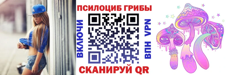 Псилоцибиновые грибы Cubensis  Циолковский 
